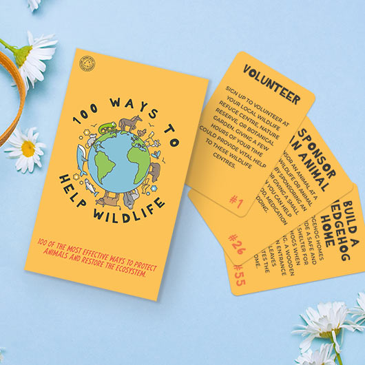 Gift Republic Card Games