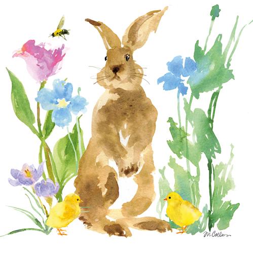 PPD Napkins  Spring &amp; Summer