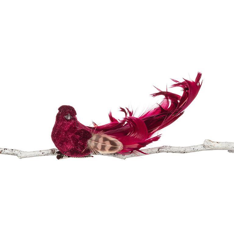 Bird Clip With Long Curly Tail