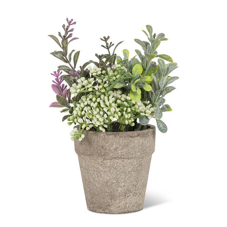 Potted Flowers