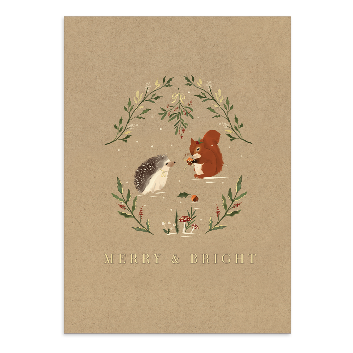 Molly And Rex Boxed Christmas Cards