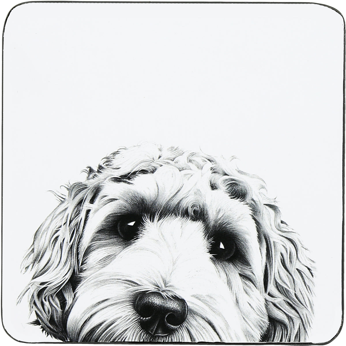 Katherine Sheard Design  Illustrated Coaster (4.25")