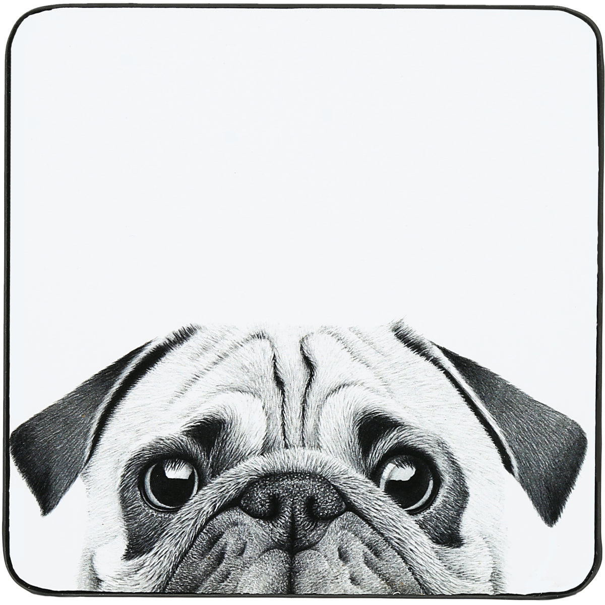 Katherine Sheard Design  Illustrated Coaster (4.25")