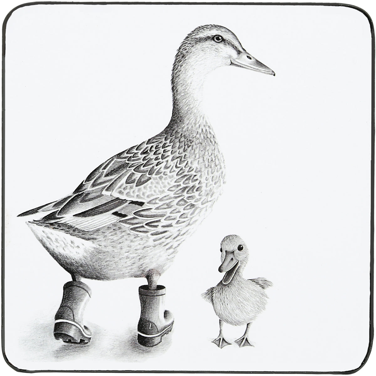 Katherine Sheard Design  Illustrated Coaster (4.25")