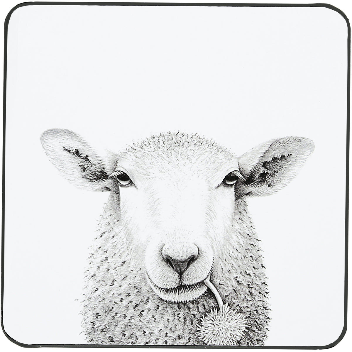 Katherine Sheard Design  Illustrated Coaster (4.25")