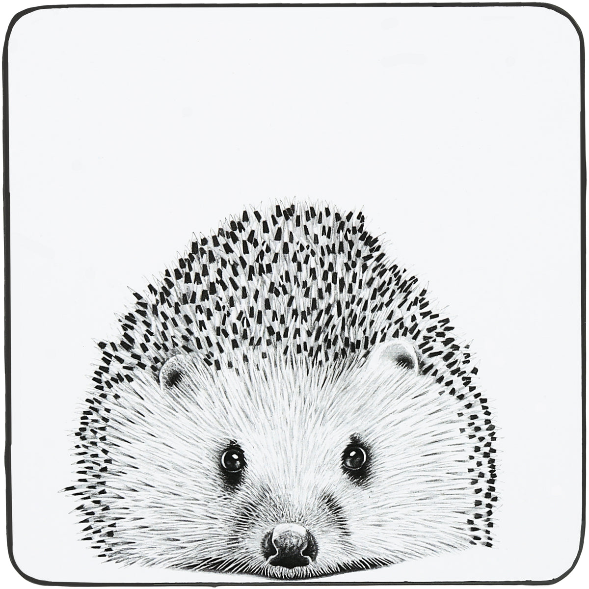 Katherine Sheard Design  Illustrated Coaster (4.25")