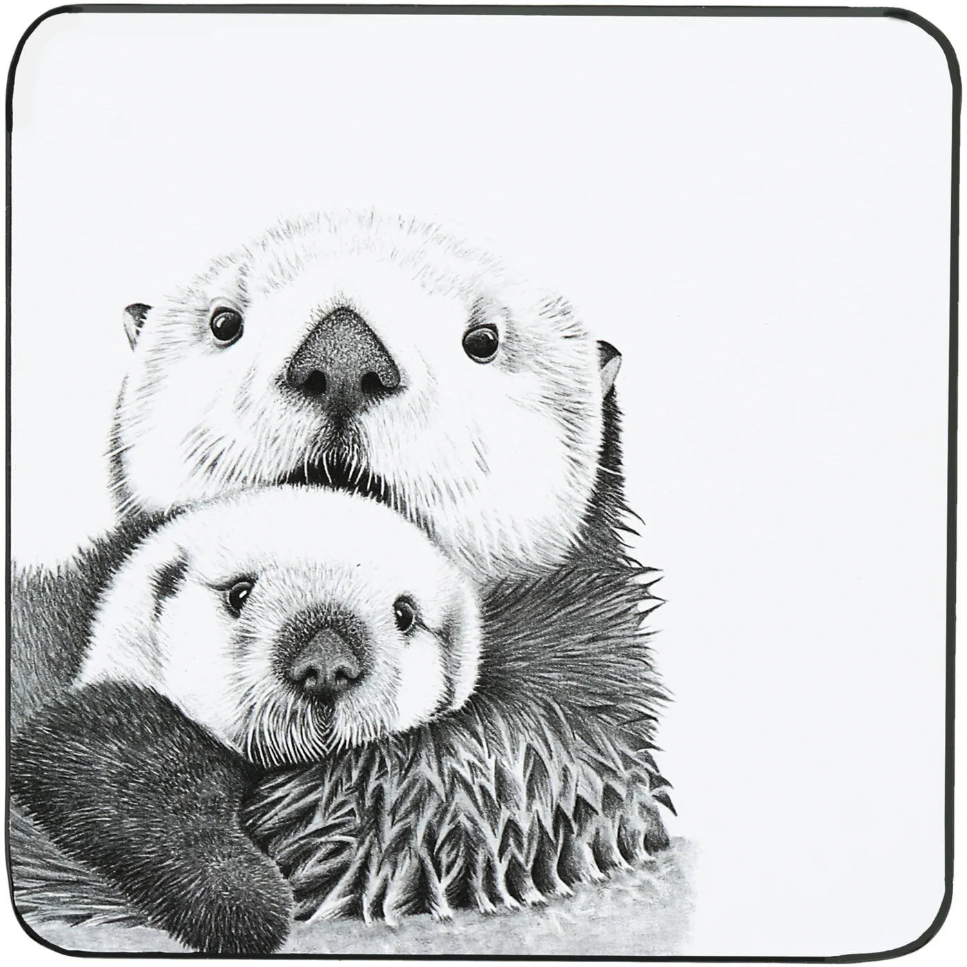 Katherine Sheard Design  Illustrated Coaster (4.25")