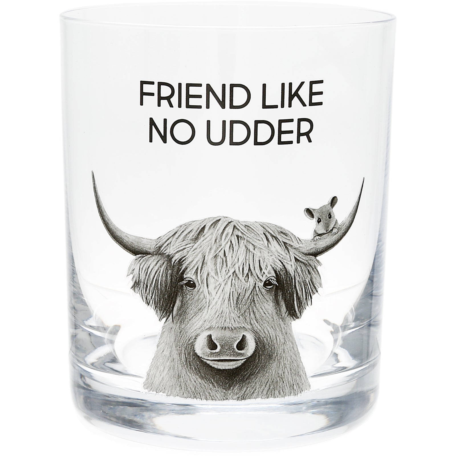 Friend - Gift Boxed 13 oz Rocks Glass