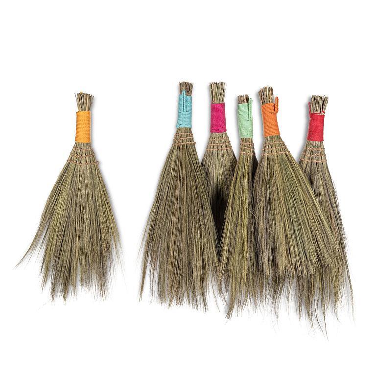 Eco Friendly Whisk Broom