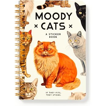 Mini Sticker Books