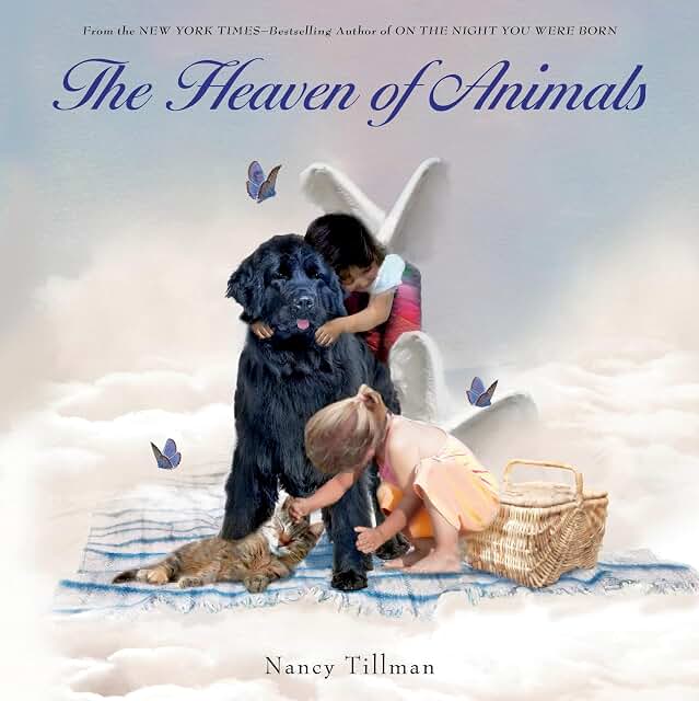 Nancy Tillman -Children's Hardback  Book 10" x 10"