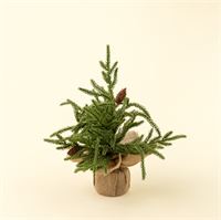 Winterwood Table Top Tree