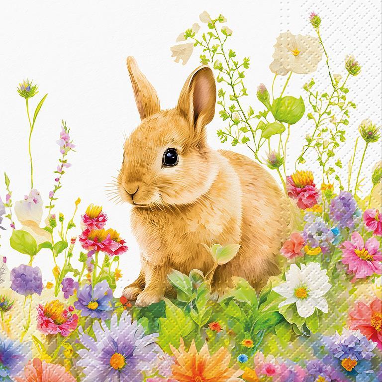 PAW Napkin Collection