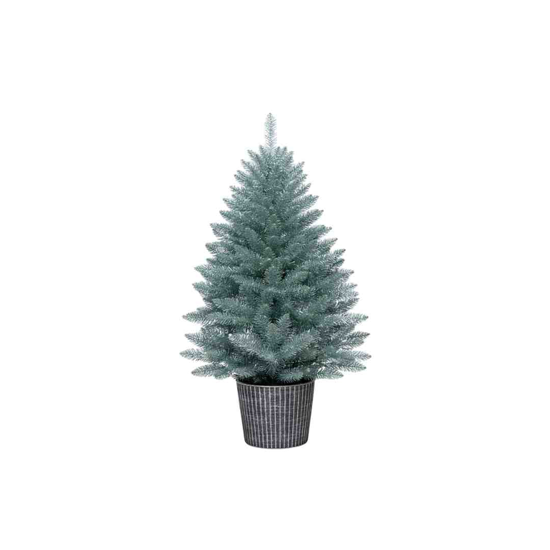 Option 2 Christmas Trees 2026