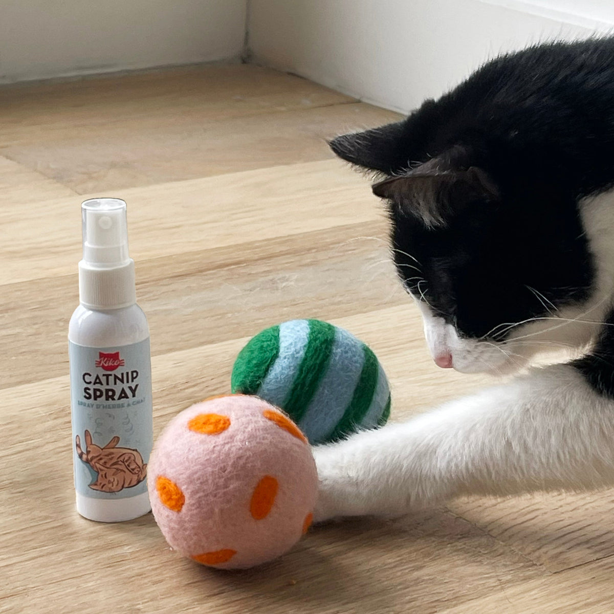 Spray And Play Cat Nip