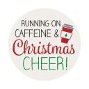 Absorbent Ceramic Car Coaster