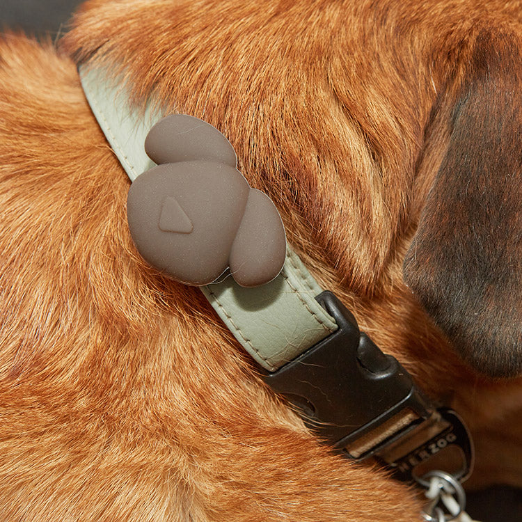 Kobe Dog Collection