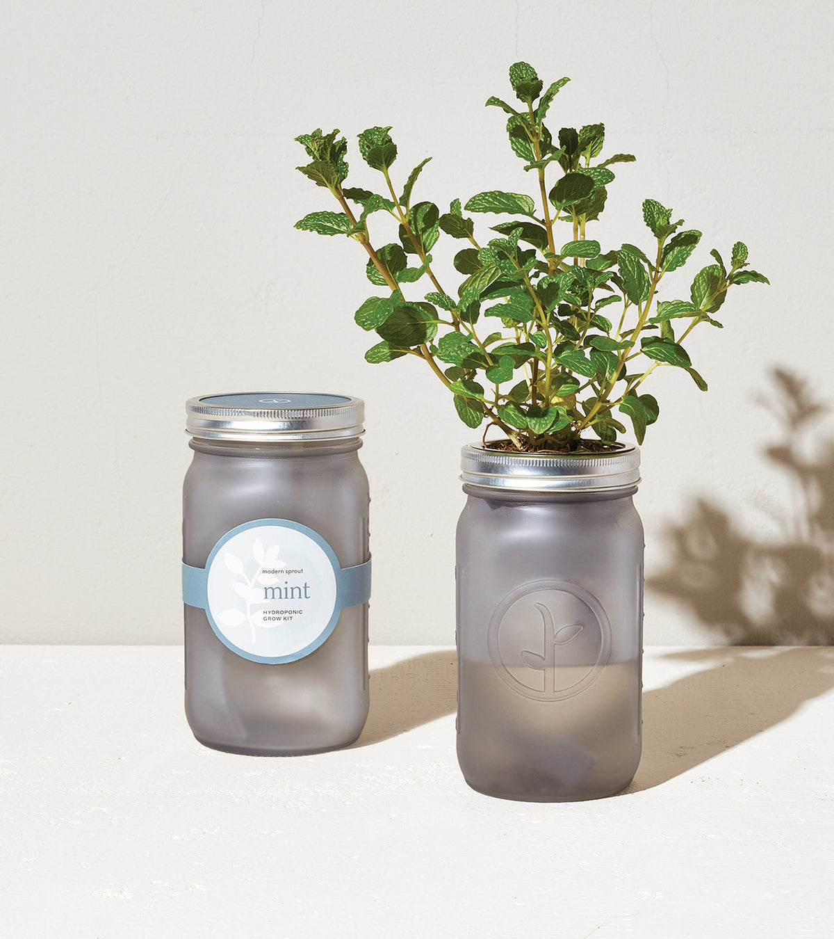 Herb Garden Jar