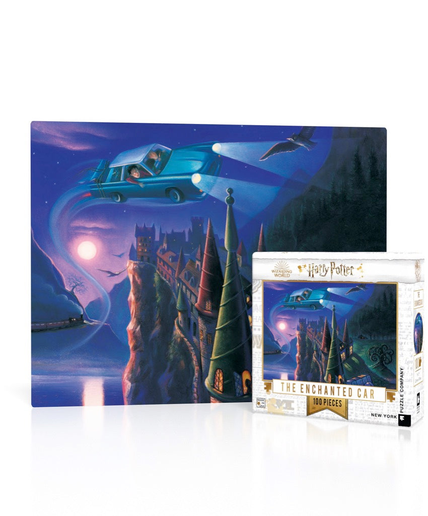 Harry Potter 100 Piece Mini Puzzle