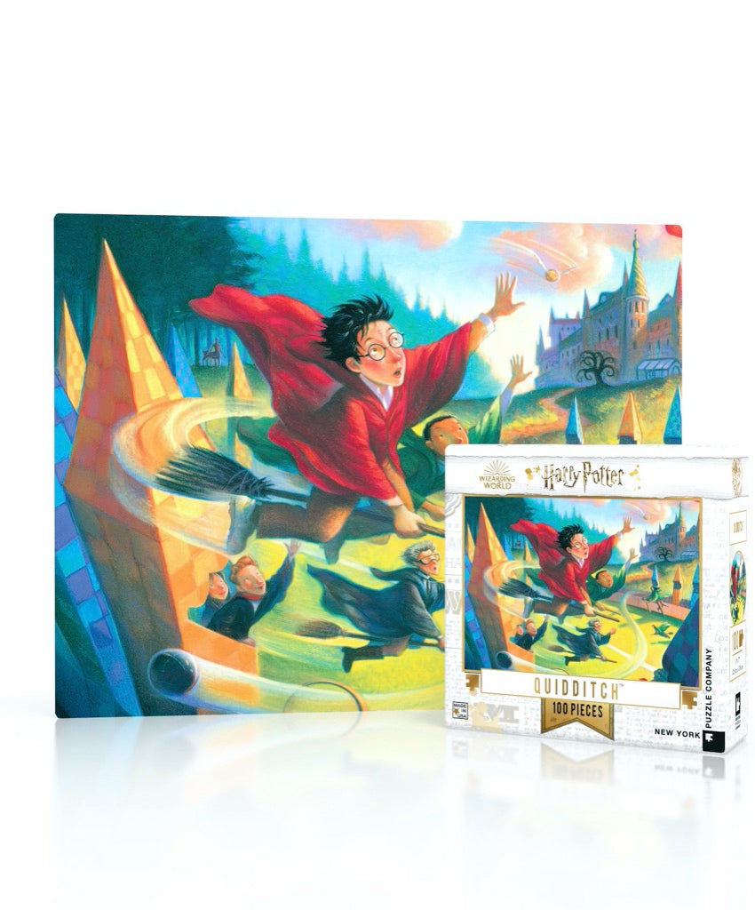 Harry Potter 100 Piece Mini Puzzle