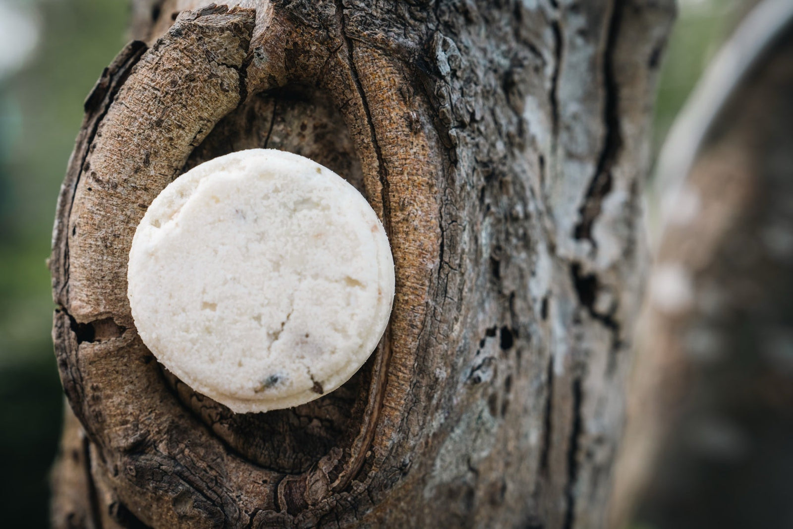 Sea Salt And Twig Shower Melts