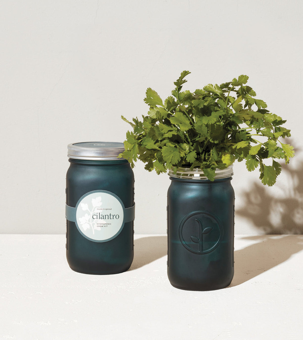 Herb Garden Jar
