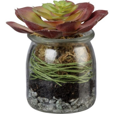 Mini Succulent In A Jar