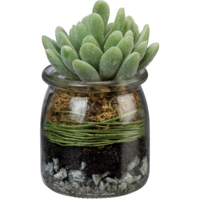 Mini Succulent In A Jar