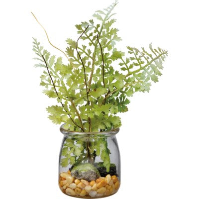 Mini Succulent In A Jar