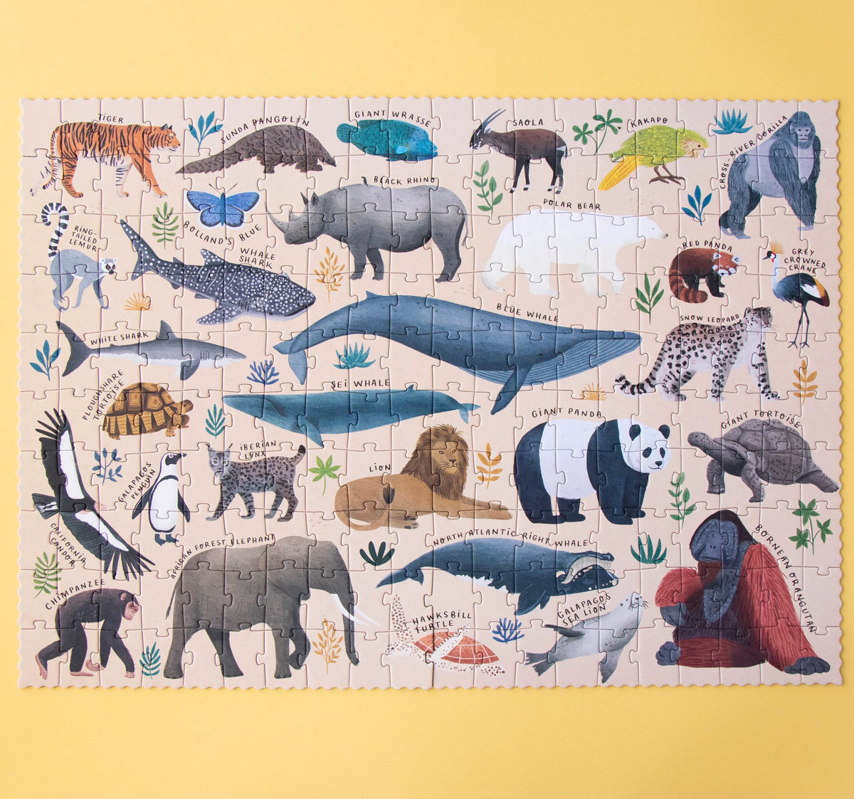 Puzzle - Life 200 Piece