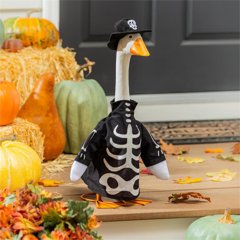 Giddy The Goose Seasonal Outfits