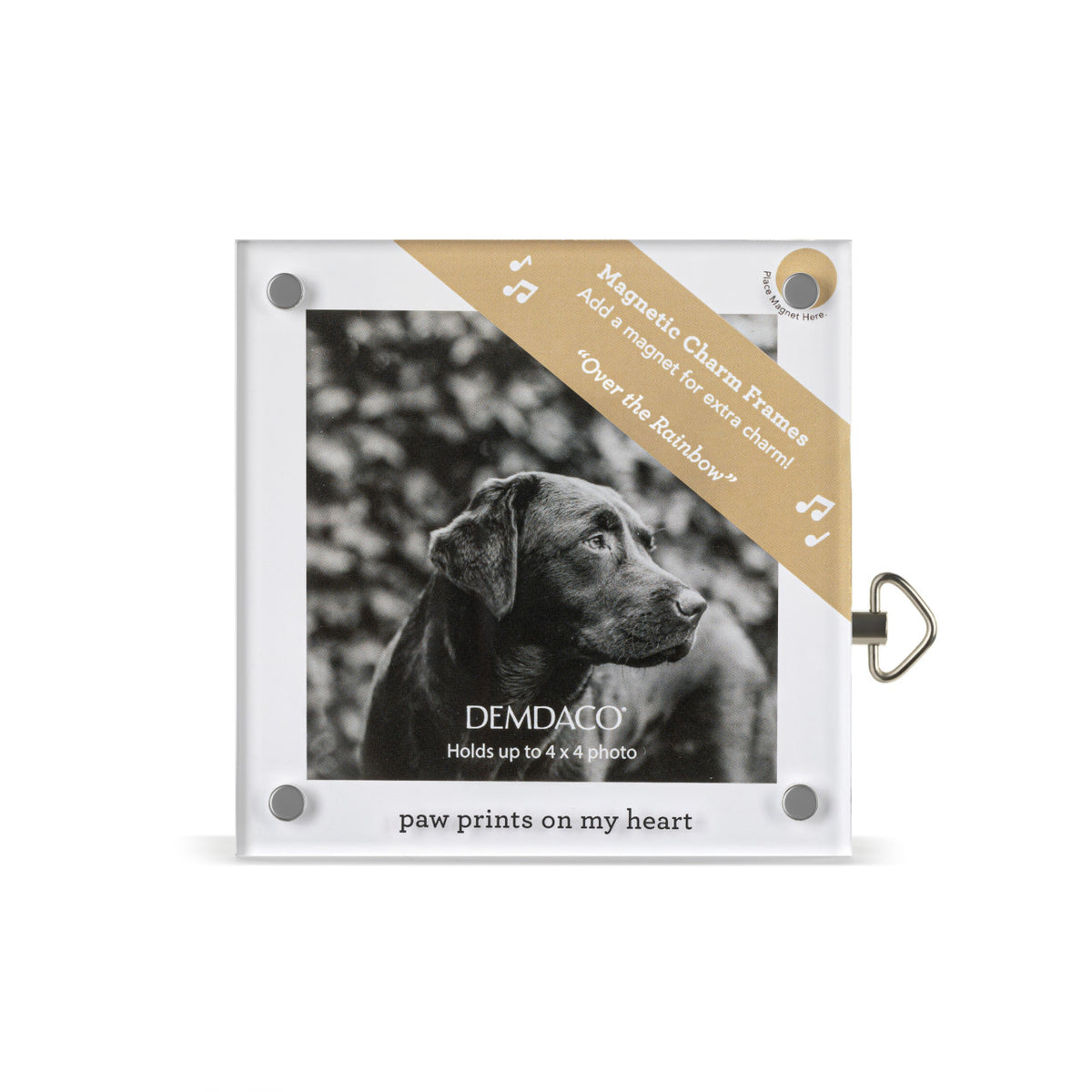 Acrylic Musical Magnetic Photo Frame