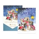 Wrendale  Notecard Set (8 Pack) -  Christmas