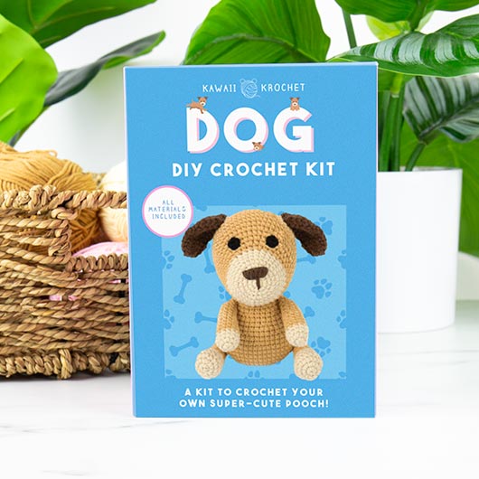 DIY Crochet Kit