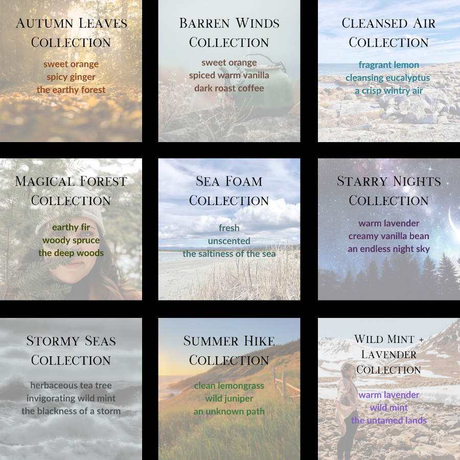 Sea Salt &amp; Twig Solid Fragrances