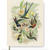 Fringe Journals