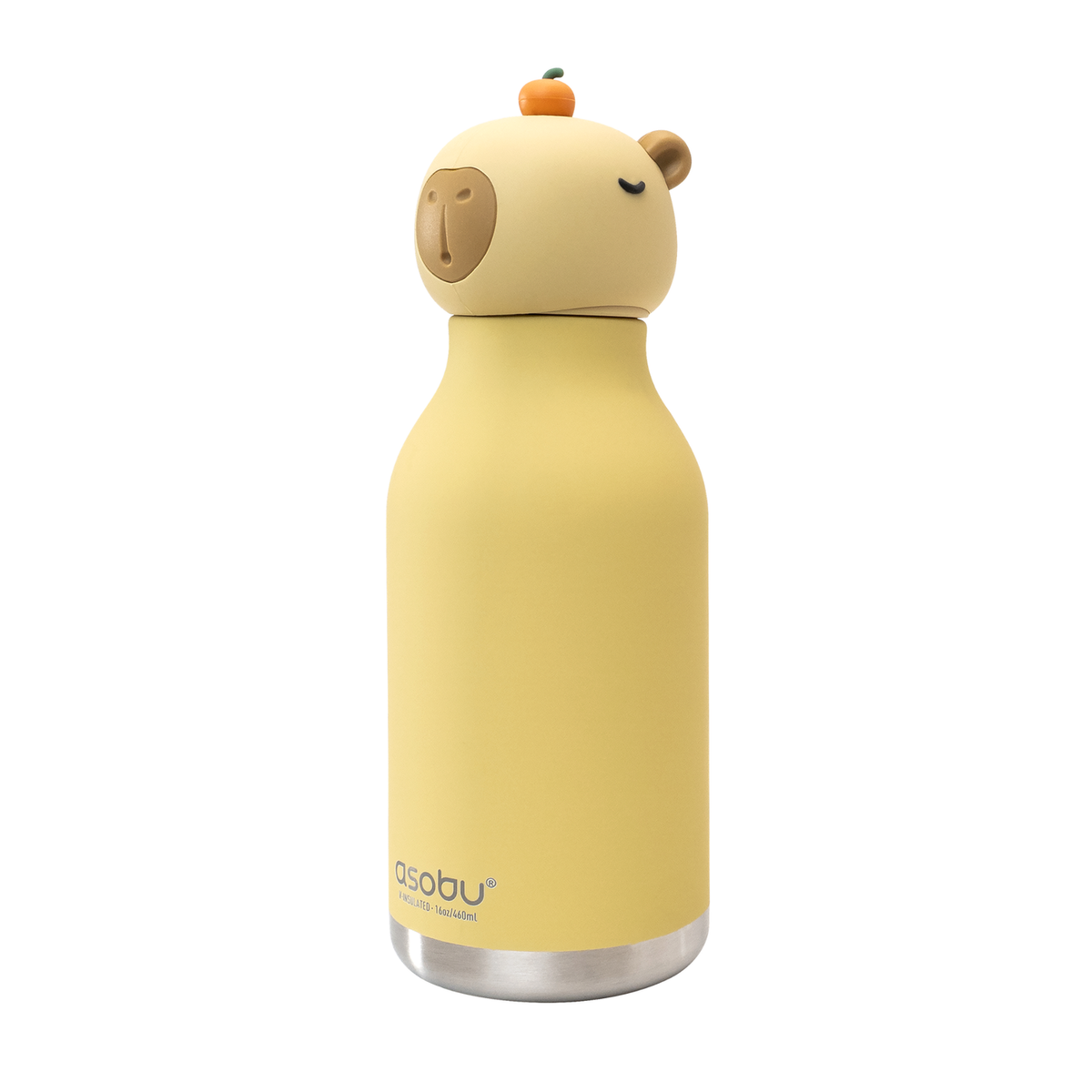 Asobu Bestie 16oz Water Bottles