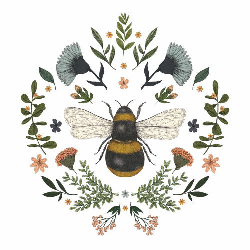 PPD Paper Napkin &amp;  Cotton Guest Towel