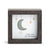Sharon Nowlan Shadow Box
