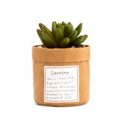 Plant Kindness Succulent