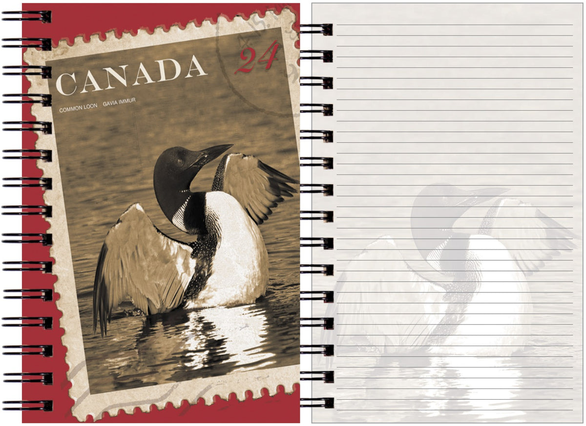 Loon Flight Journal