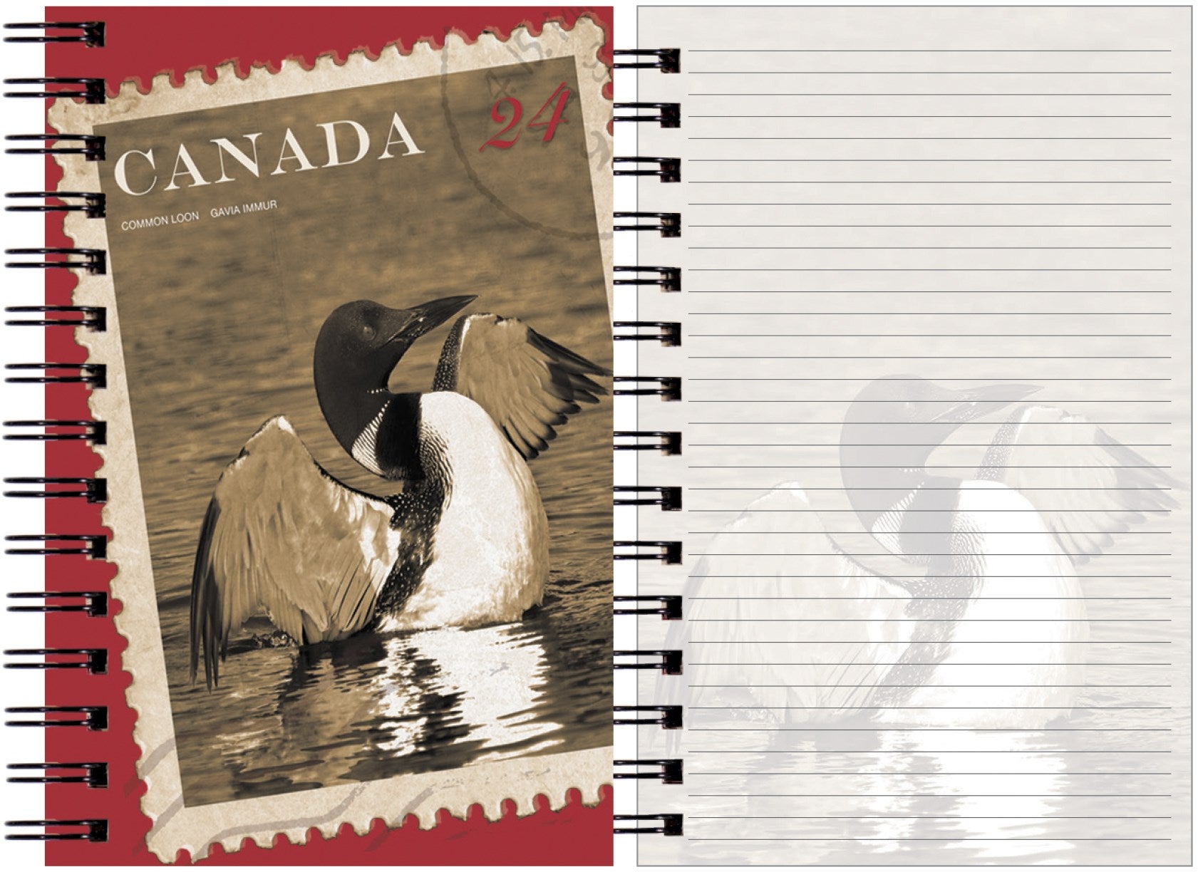 Loon Flight Journal