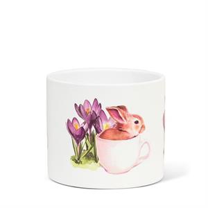 Bunny & Crocus Design Collection