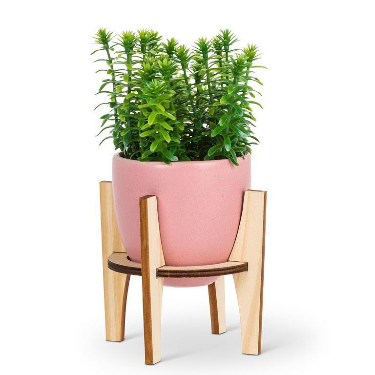 Pink Pot on a Wood Stand