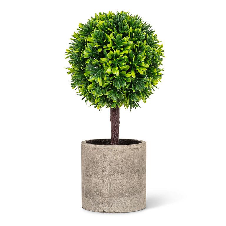 Topiary Plant in Pot