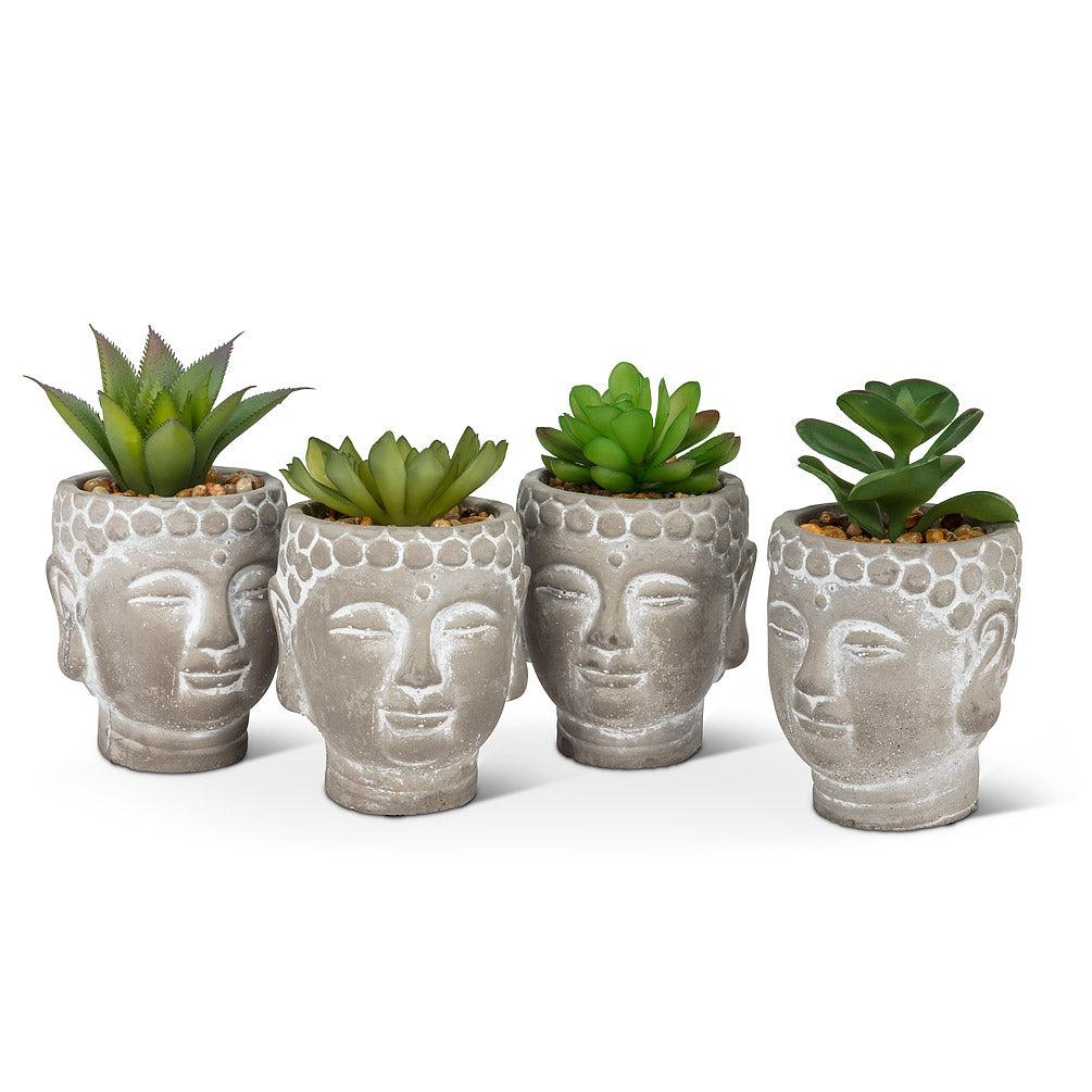 Succulent in Buddha Head Pot 4 Asst