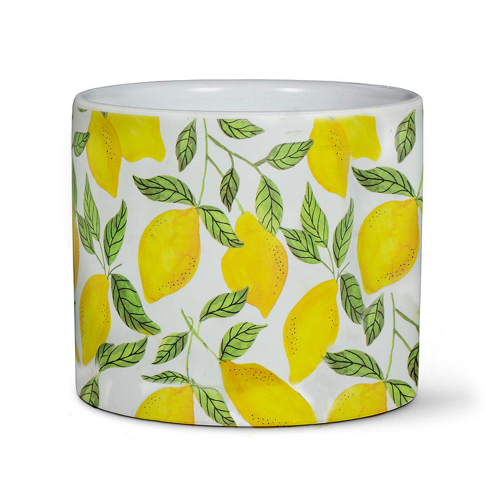 Sunny Lemons Planter