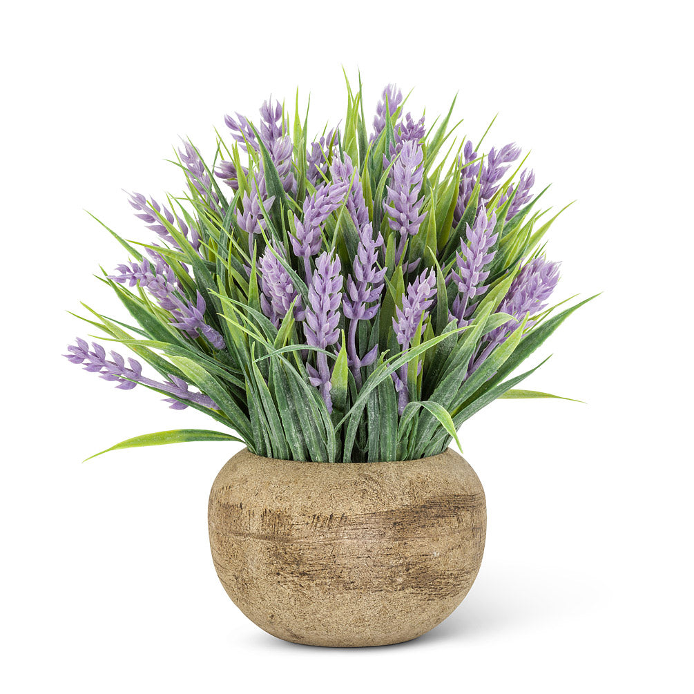 Small Flowering Plant In Pot 6.5"