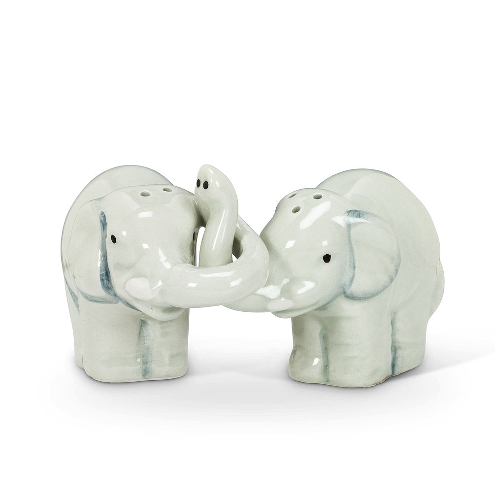 Salt and Pepper Hugging Elephant