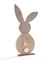 Bunny Décor